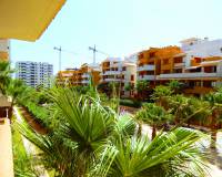 Revente - Apartment - Torrevieja - Punta Prima